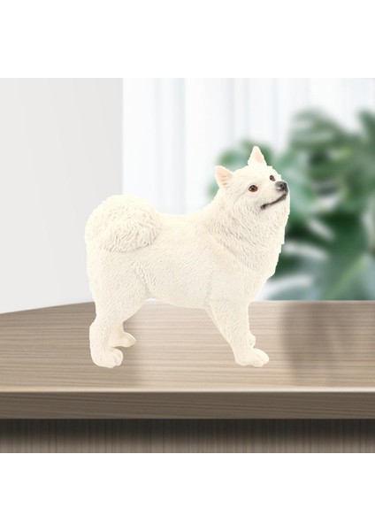 Gerçekçi Samoyed Model Öğrenme Bpa Ücretsiz Köpek Figürinler 6 Yaş ve Üstü Beyaz (Yurt Dışından)