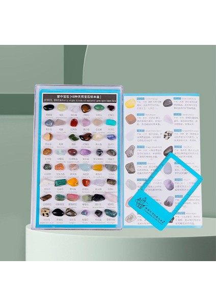 48 Adet Kaya ve Mineral Koleksiyon Deluxe Stem Parti Başlangıç ​​kızlar Mavi (Yurt Dışından) fırsatları