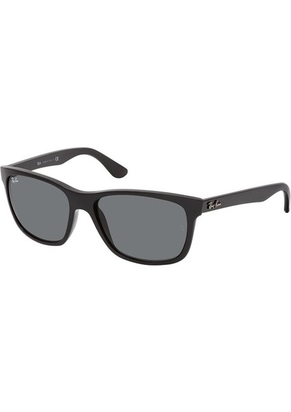 Rayban Güneş Gözlüğü RB4181 601/87