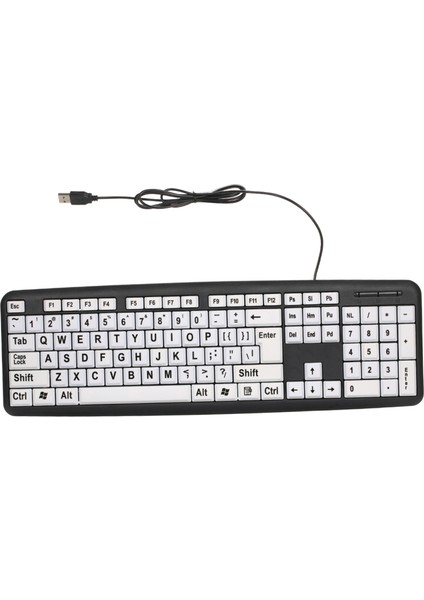 Büyük Beyaz Tuşlar ile Az Gören Kullanıcılar Için USB