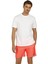 101093563 CT483 Gustavo Swim Erkek Şort 3