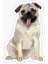 Pug Irkı Cinsi Köpek Sticker Araba Oto Leptop 17CM A3 1