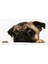 Pug Irkı Cinsi Köpek Sticker Araba Oto Leptop 17CM N4 1