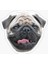 Pug Irkı Cinsi Köpek Sticker Araba Oto Leptop 17CM Z8 1
