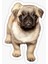 Pug Yavru Cinsi Köpek Sticker Araba Oto Leptop 17CM A3 1