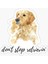 Golden Retriever Köpek Sticker Araba Oto Leptop 17CM A3 1