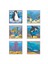 Deniz Hayvanları Yapboz - 9 Küp 6 Puzzle 7