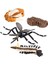 Çocuk Böcek Sivrisinek Büyüme Modeli Playset Öğrenme Biyoloji Oyuncaklar Temalı Parti (Yurt Dışından) 1