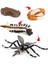Çocuk Böcek Sivrisinek Büyüme Modeli Playset Öğrenme Biyoloji Oyuncaklar Temalı Parti (Yurt Dışından) 4