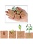 Doğa Bitki Büyüme Playset Okul Öncesi Öğrenme Hayal Gücü Oyuncaklar (Yurt Dışından) 5