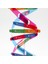 Çocuklar Dna Modeli Çift Helix Modeli Bilim Popülerlik Oyuncak Dıy Montaj (Yurt Dışından) 2