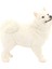 Gerçekçi Samoyed Model Öğrenme Bpa Ücretsiz Köpek Figürinler 6 Yaş ve Üstü Beyaz (Yurt Dışından) 1