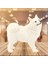 Gerçekçi Samoyed Model Öğrenme Bpa Ücretsiz Köpek Figürinler 6 Yaş ve Üstü Beyaz (Yurt Dışından) 3