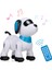 Le Neng K21 Elektronik Robot Köpek Dublör Köpek Uzaktan(Yurt Dışından) 1