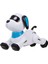 Le Neng K21 Elektronik Robot Köpek Dublör Köpek Uzaktan(Yurt Dışından) 5