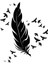 Birds&feather Folyo Kesim Duvar Sticker 2