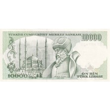 Benim Koleksiyonum 7. Emisyon 4. Tertip 10.000 Türk Lirası, Çil