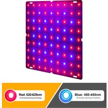 Fairy 81LI Led'li Bitki Yetiştirme Işığı - Pembe / Mor (Yurt Dışından)