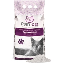 Pumice World Pum Cat Topaklanan Bentonit Kedi Kumu, 5 Litre Ince Tane Bentonit Kedi Kumu