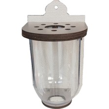 Markapet Betta Balıkları Için Duvara Asılabilen Fanus Akvaryum 10 x 17 cm