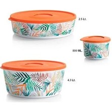 Tupperware Delüks Set 4'lü