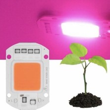 Hazar Led 220V 50W Grow Led Full Spectrum Cob Led (Bitki Yetiştirme Ledi)