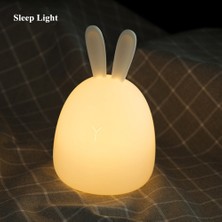 Three Beans Tavşan LED Gece Işık Dokunmatik Sensör Renkli USB Şarj Edilebilir Karikatür Silikon Bunny Lamba Çocuklar Için Bebek Yatak Odası Başucu Hediye | LED Gece Işıkları (Yurt Dışından)