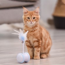 Three Beans Akıllı Interaktif Pet Köpek Kedi Oyuncak Led Işık Usb Şarj Glow Tumbler Pet 360 Derece Kendinden Dönen Top Oyuncak Pet Kedi Malzemeleri Için | Kedi Oyuncakları (Sarı) (Yurt Dışından)