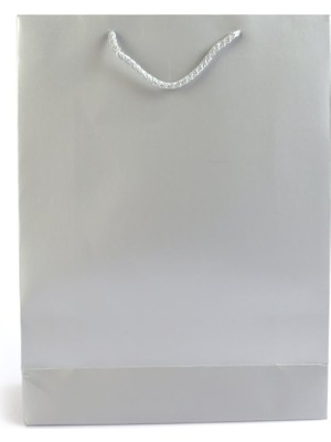 Paket Parti Karton Çanta Mat Gümüş  Selefonlu 14X17X6 cm (25'li)