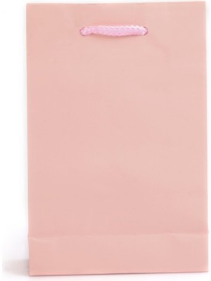 Paket Parti Kağıt Ip Saplı Çanta Pembe 18X10X23 Ithal(12'li)
