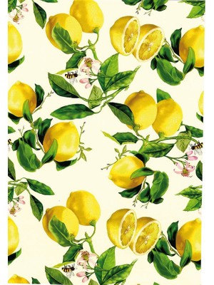 Roco Paper Co. Rulo Ambalaj Kağıdı NO:009C 70*500 cm