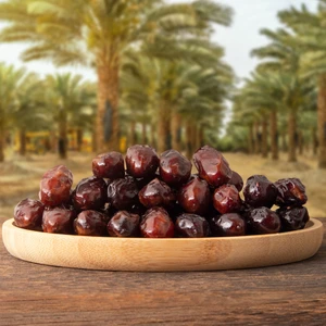 İran Hurması Rebbi