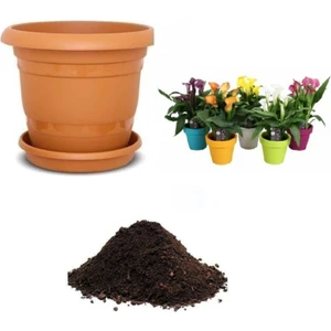 Tohum Dünyam Ithal Karışık Calla Lily Tohumu Ekim Seti