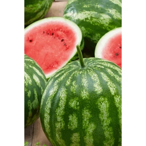 Tohum Dünyam Crimson Sweet Karpuz Tohumu / 5+ Adet Tohum