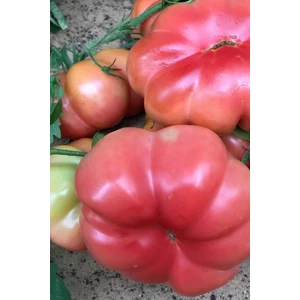 Tohum Dünyam Organik Pembe Domates Tohumu / 5+ Adet Tohum