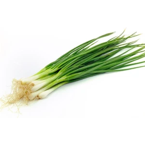 Tohum Dünyam Taze Firik Yeşil Soğan Tohumu 50 Adet Tohum