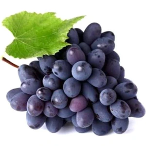 Tohum Dünyam Nadir Siyah Şarköy Üzüm Tohumu 5 Adet Tohum