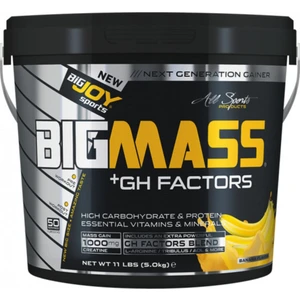 Bigjoy Sports Bıgmass Gainer Gh 5000 gr Çikolatalı Gainer