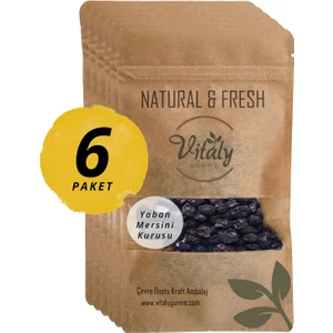 Vitaly Gurme Doğal Kuru Yaban Mersini Kurusu Blueberry 6X50G