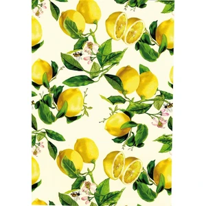 Roco Paper Co. Rulo Ambalaj Kağıdı NO:009C 70*500 cm