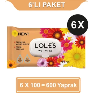 Genel Kullanım Islak Mendil 6X100 Adet 600 Yaprak