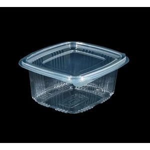 Ersin Ambalaj Plastik Sızdırmaz Gıda Kabı 100'LÜ 500 gr Düz Kapak