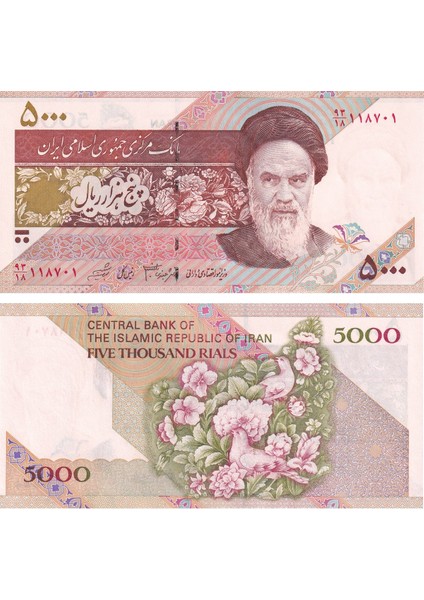 Iran, 5.000 Riyal (1993) P#145F Çil Eski Yabancı Kağıt Para