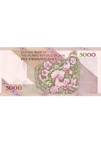 Iran, 5.000 Riyal (1993) P#145F Çil Eski Yabancı Kağıt Para modelleri
