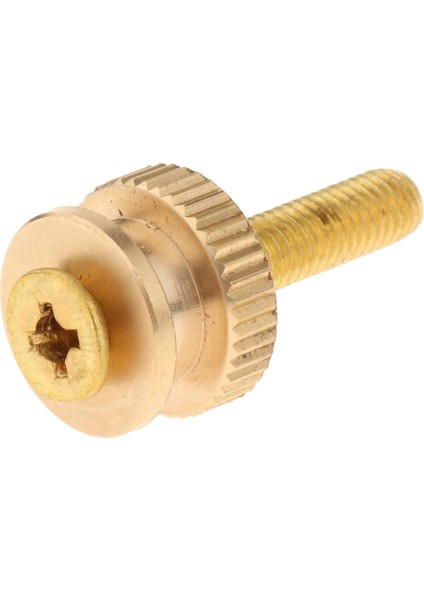 Hızlı Yayın Gitar Köprü Pimleri Koni Dize Çiviler Yedek Parçalar Altın (Yurt Dışından)