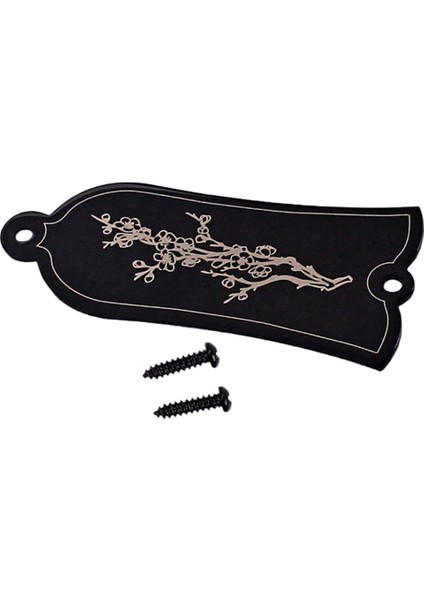 En Güzel 2-Hole Bell Şekli Elektro Gitar Kafes Çubuk Kapak Vida Siyah (Yurt Dışından)