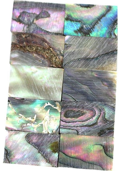 10X Dıy Abalone Malzemeleri Gitar Mandolin Için Fret Klavye Noktaları 13X8X2MM (Yurt Dışından)