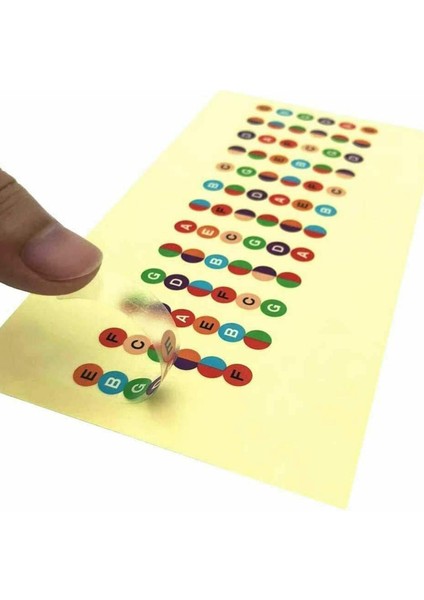 Gitar Aksesuarları Kiti 41 Adet Gitar Picks Dahil Capo Tuner Gitar Dize Set (Yurt Dışından) indirimleri