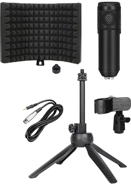 Stüdyo Ses Kayıt BM800 Kondenser Mikrofon Kiti W / 3-Shield Bacak Braketi Xlr Hattı (Yurt Dışından) indirimleri