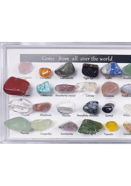 24X Kaya Mineral Koleksiyonu Set ve Koleksiyon Kutusu Çocuklar Için Bilim Eğitimi (Yurt Dışından) fiyatları